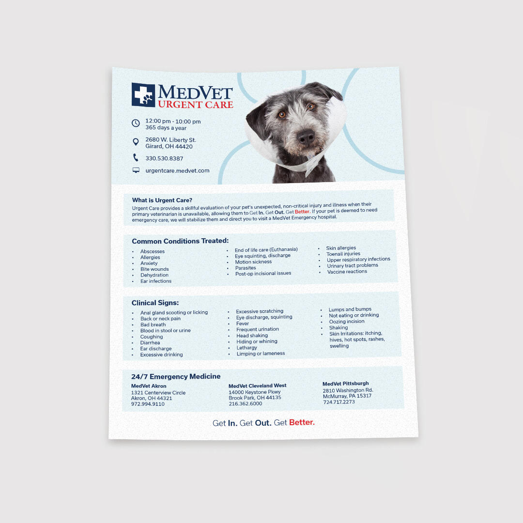 MVUC - Conditions and Signs Flyer