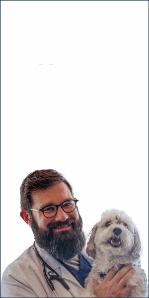 Cle_Website-Ad_300x600