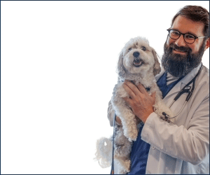 Cle_WebsiteAd_300x250