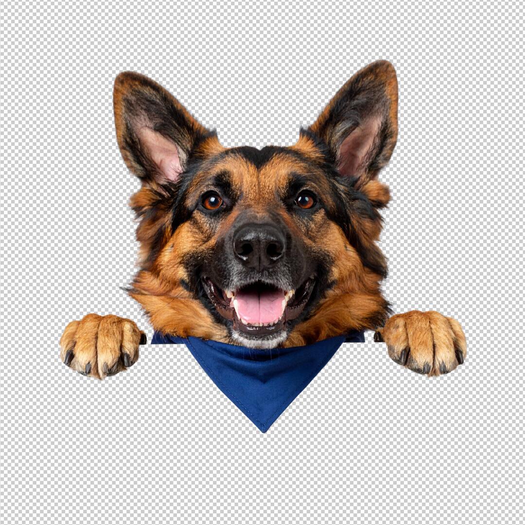 Vancouver Image Edit