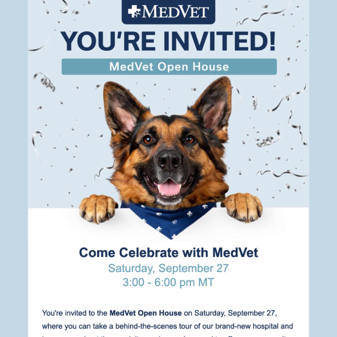 Vancouver Image Edit